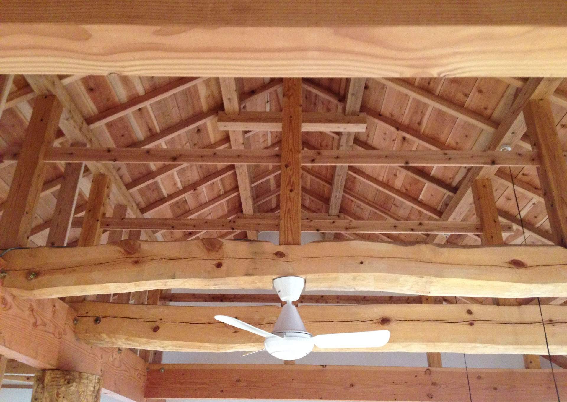 株式会社職人バッカ